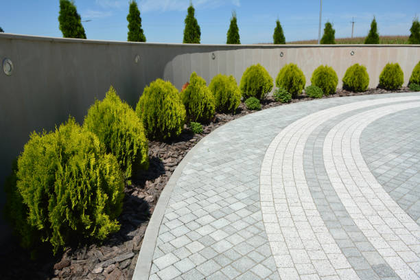 Best Local Driveway Pavers  in Millville, DE